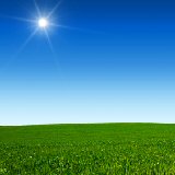 Clarity Accounting Services, Inc.